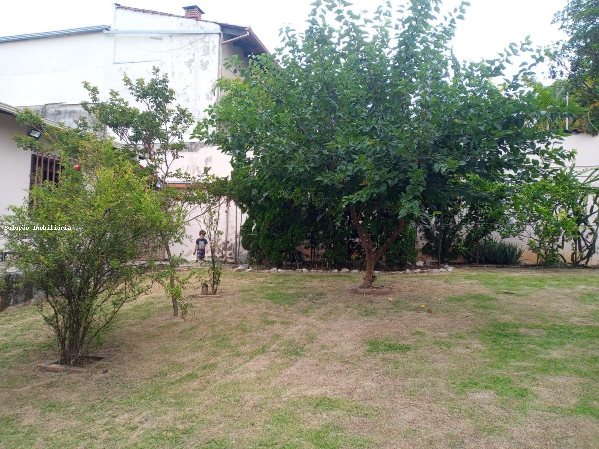 Casa, 3 quartos, 900 m² - Foto 19
