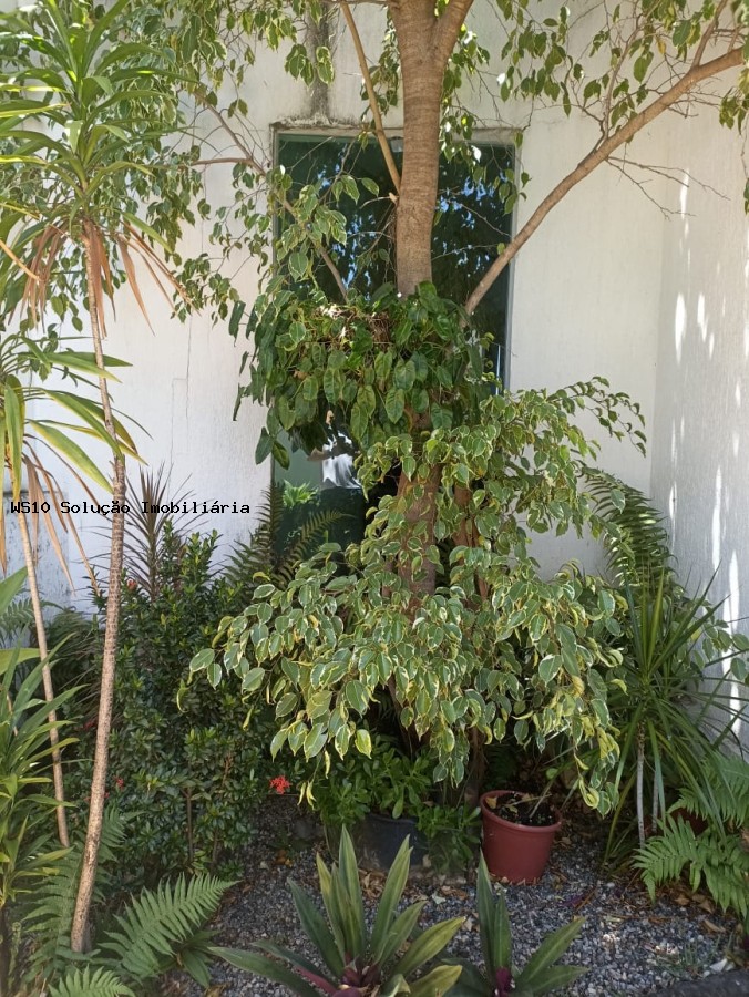 Casa à venda com 3 quartos, 360m² - Foto 2